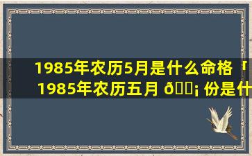 1985年农历5月是什么命格「1985年农历五月 🐡 份是什么星座啊」